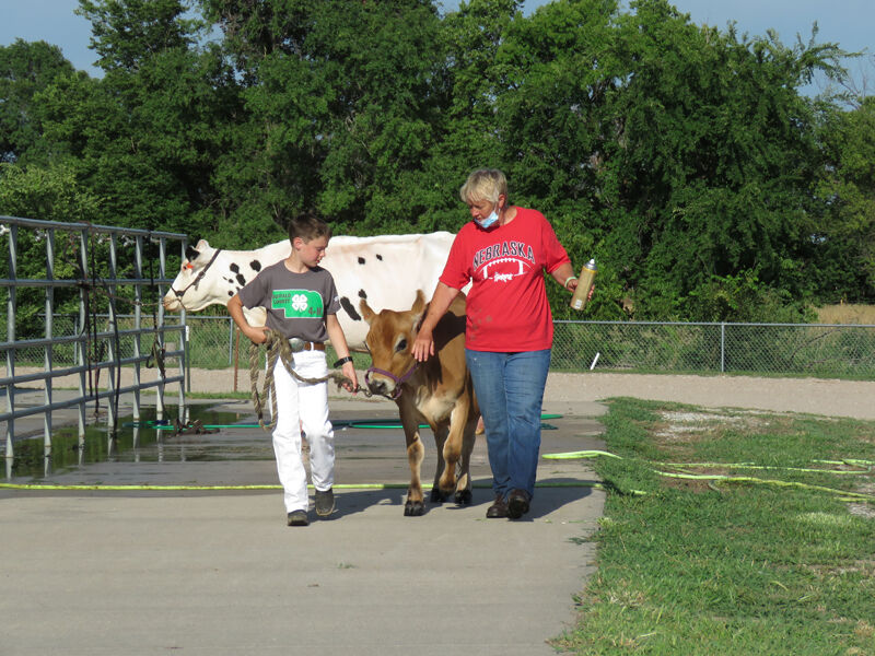 Dairy, Devin Merchant, Lincoln , with grandma Karen Weekley, Shelton
